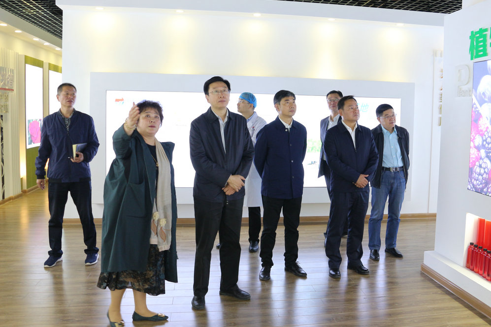 2020年11月2日省政府食安辦副主任，省市場監(jiān)督管理局副局長王建防到公司調研指導工作.JPG